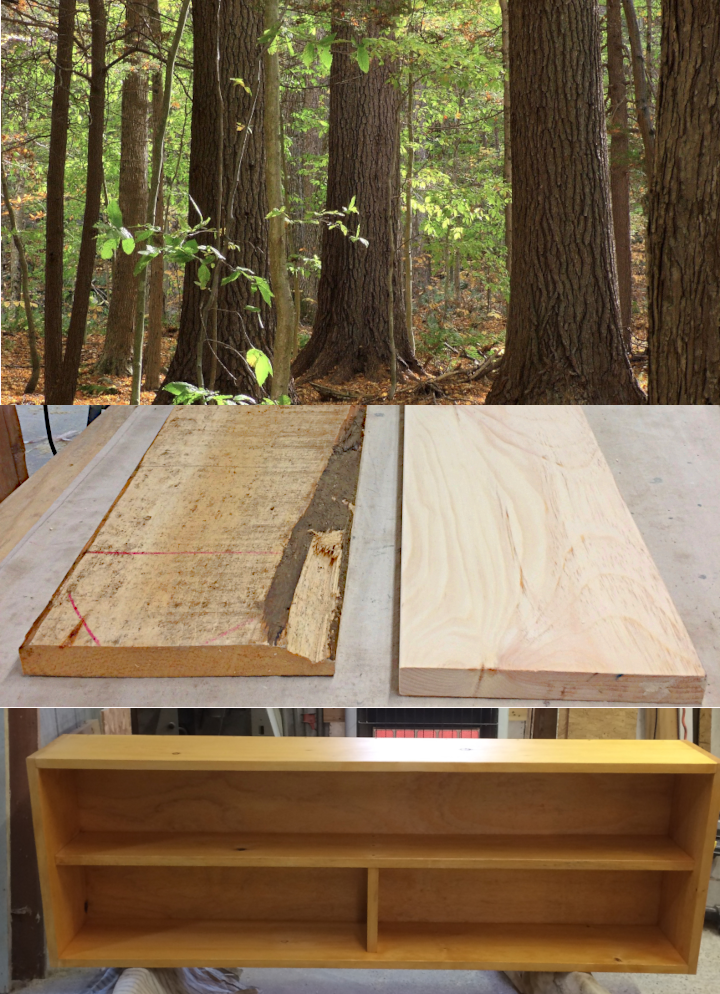 Trees, lumber, furniture